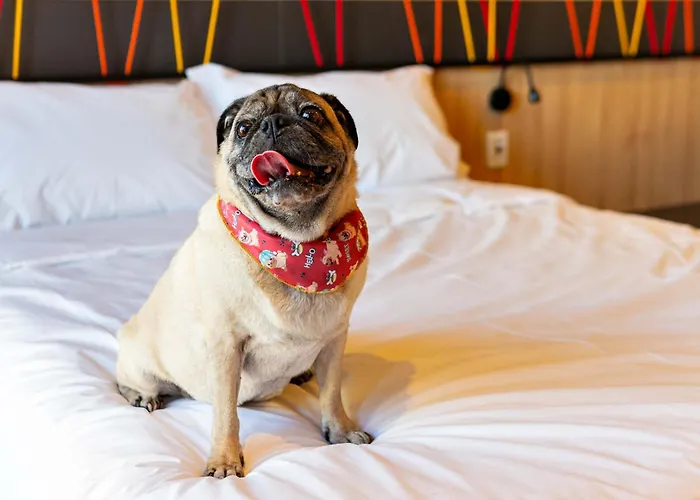 Ibis Styles Moinhos De Vento Hotel