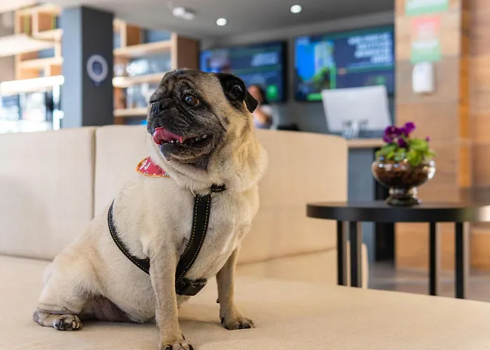 Ibis Styles Moinhos De Vento 3*