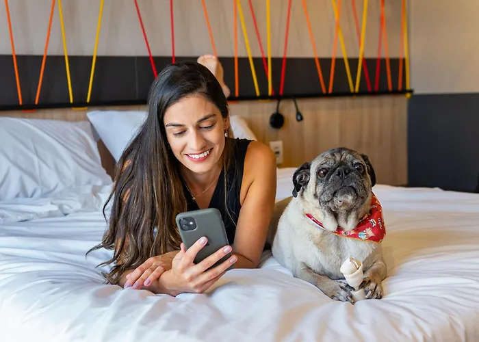 Ibis Styles Moinhos De Vento 3* Porto Alegre